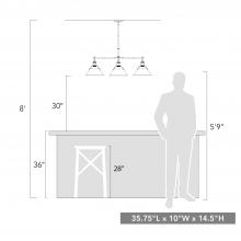 3306-LP AB-BCB_scale.jpg